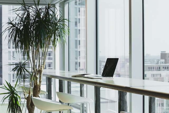 Top Tips for Maryland Businesses to Boost Their Environmental Impact