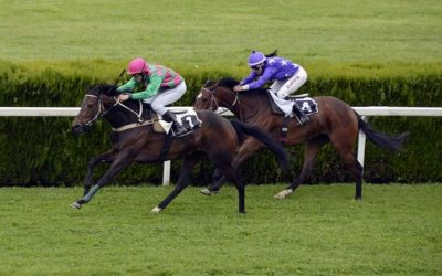 New Legislation to Revamp Maryland Horse Racing Introduced