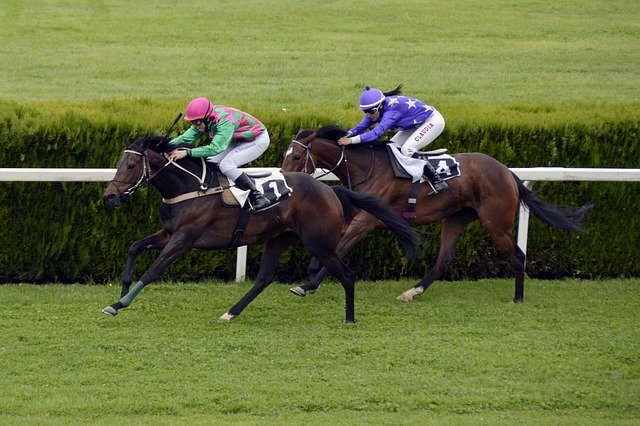 New Legislation to Revamp Maryland Horse Racing Introduced