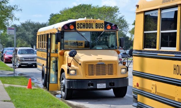 Conservatives make gains in school board races