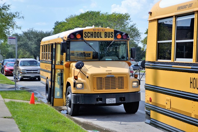 Conservatives make gains in school board races
